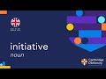 Understanding the Peace Initiative
