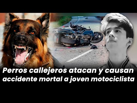 Ataque de perros callejeros cobran la vida de joven motociclista en Chalatenango