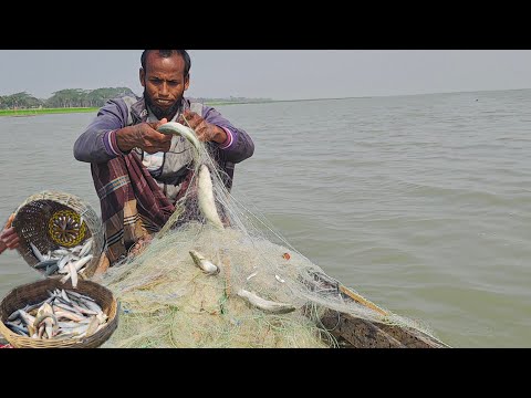 বাংলাদেশের নদীতে কারেন্ট জাল দিয়ে বাটা মাছ ধরার পদ্ধতি। Fish catching in Bangladesh River/Bd fishing