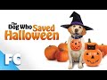 Exploring The Dog Who Saved Halloween
