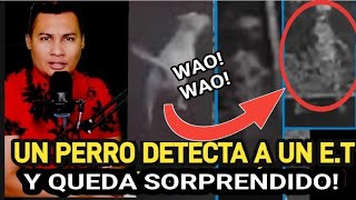 APARECEN NAVES PLASMA Y EXTRATERRESTRES QUE DESARECEN FRENTE A LA CAMARA