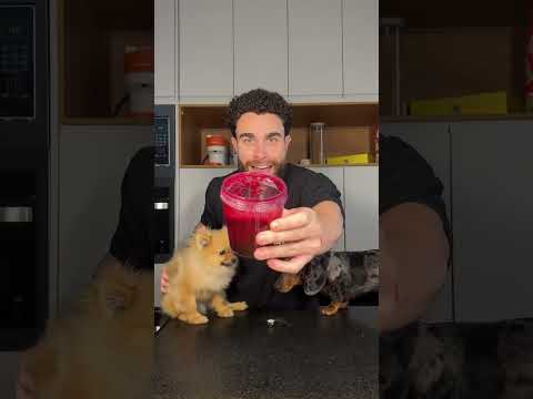 morango do amor para pet • 😋