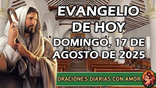 Evangelio de hoy Domingo, 17 de Agosto de 2025 - No he venido a traer paz, sino división