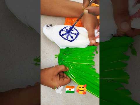 Happy independence day / সাদা কবুতরের ডানার উপর india পতাকা 🇮🇳🕊❤ #independencedaystatus #shortvideo
