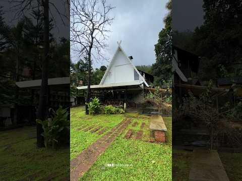 Landslide ഉണ്ടാകുന്നതിനു 5 Days മുൻപ് ഞങ്ങൾ പോയ Resort..!😥 #shorts #landslide #wayanad #chooralmala
