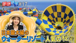 【出演：柏木由紀】 『トクそうCOMPANY』 ▼芝政ワールドの秘密をトクそうせよ！