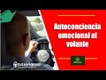 Emotional Awareness in Driving