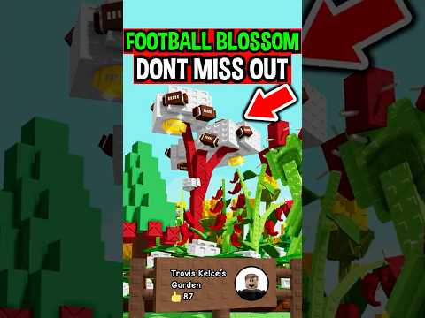FOOTBALL BLOSSOM SEED in Roblox Grow a Garden..