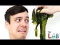 Kelp: The Next Superfood?