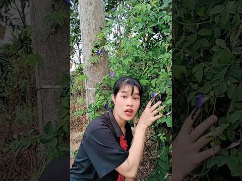 HAHAHA 🤣🤣🤣 So funny.This dog helped the man's legs recover #vanlaugh #funny #viralvideo