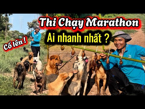 Tổ Chức Giải Đua Marathon Xem Ai Nhanh Nhất, Ai Thắng Sẽ Có Thưởng