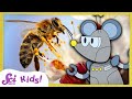 Understanding Bees and Honey