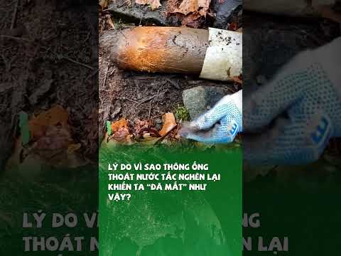 Vì sao thông ống thoát nước tắc nghẽn lại  “đã mắt” như vậy? #tin1phut #khampha #khamphathegioi