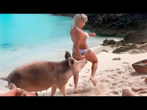 50 Incredible Animal Moments Caught On Camera!