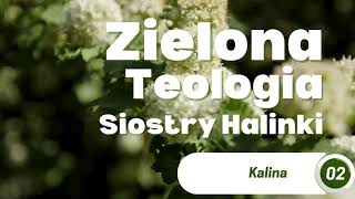 KALINA