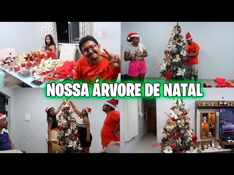 MONTANDO ARVORE DE NATAL 2024- FAMÍLIA ALMEIDA