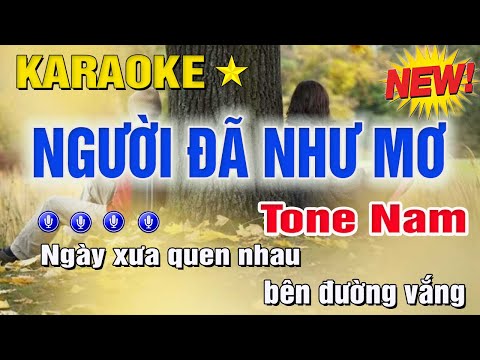 Người Đã Như Mơ Karaoke Tone Nam (Dm) | Trung Hiếu Karaoke