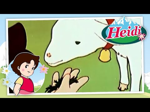 🗻Aquí hay muchas - Heidi - Escenas divertidas 🏔🌹🌲🗻