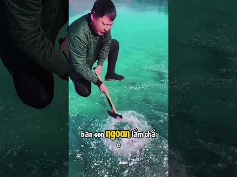 hai cha con này đã tìm thấy một viên đá quý dưới hồ băng.