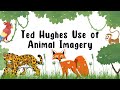 Animal Imagery in Ted Hughes' Poetry