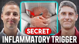 The Secret Inflammatory Trigger in Your Gut with Christian Yordanov