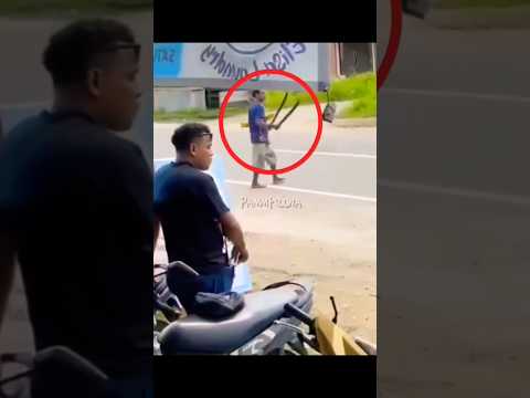 PREMAN BERSAJAM KENA BATUNYA