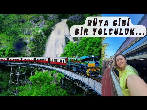 Büyülendim!  Avustralya Yağmur Ormanları'nda Masalsı Bir Tren Yolculuğu