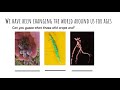 Understanding Genetically Modified Organisms