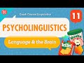Psycholinguistics and Brain Functionality