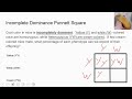Alleles and Phenotypes in Co-Dominance