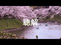 七夕の飾りと願い事
