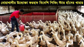 নোয়াখালীর উদ্যোক্তা ফরহাদ বিদেশি পিকিং স্টার হাঁসের খামার করে লক্ষ টাকা আয়ের সপ্ন। Duck Farming
