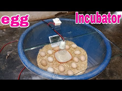 Simple egg incubator | homemade incubator 7385137018