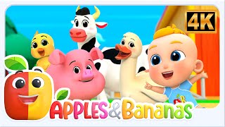 Animal Sound Song And more Educational Videos for Toddlers