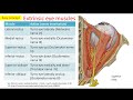 Eye Anatomy and Function Assessment