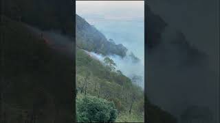 The Indian Air Force is relentlessly engaged in firefighting operations in Kasauli, Himachal Pradesh