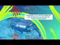 Marine Conservation in Malaysia