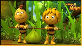 Tekla se constipa | La Abeja Maya 🐝 35' Compilación
