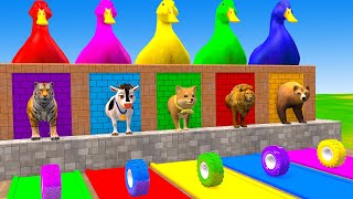 Long Slide Game With Elephant Gorilla Buffalo Hippopotamus Tiger - 3d Animal Game - Funny 3d Animals