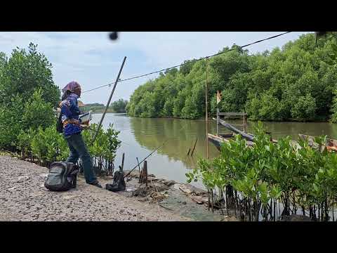 AMAZING FISHING ADVENTURE #fishing