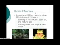 Biogeochemical Cycles and Their Processes