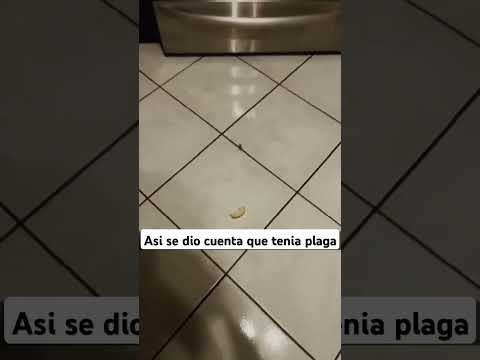 me dió algo