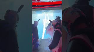 They Really Jumped AFTER A Jet 👀