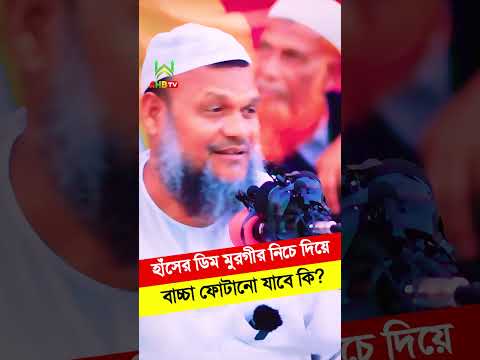 হাঁসের ডিম মুরগীর নিচে দিয়ে বাচ্চা ফোটানো যাবে কি? আব্দুর রাজ্জাক বিন ইউসুফ