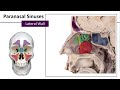 Nasal Cavity and Sinuses Concepts