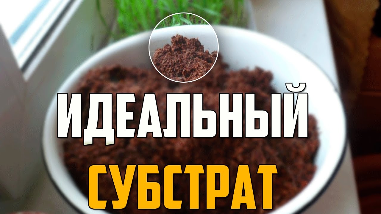 Кокосовый субстрат. Коко-грунт для рассады