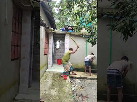 বিটলার বিটলামি দেখেন #viral #funny #funny #shorts #trending #fun #short