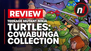 We Might Get A Brand New Teenage Mutant Ninja Turtles Game In