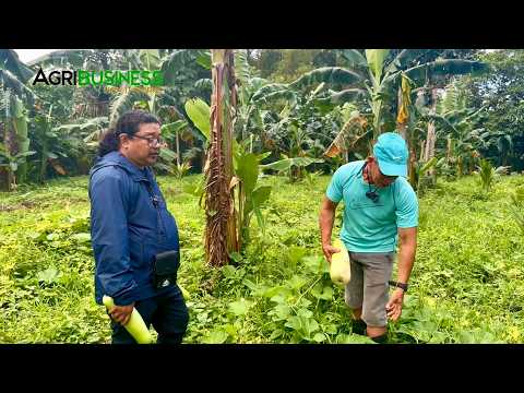 Gumanda ang Buhay! Dating Bus Conductor, Pinili maging Farmer kahit Walang Alam sa Farming!