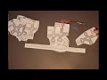 Transcription and Translation Concepts